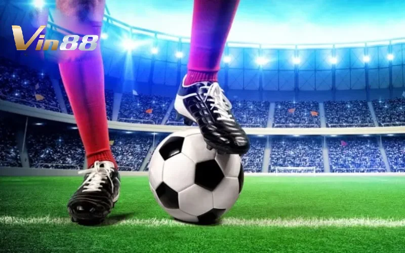 Sảnh K-Sports Vin88 - Trải Nghiệm Cá Cược Thể Thao Đỉnh Cao