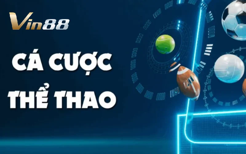 Tìm kiếm sự khác biệt của thể thao Vin88